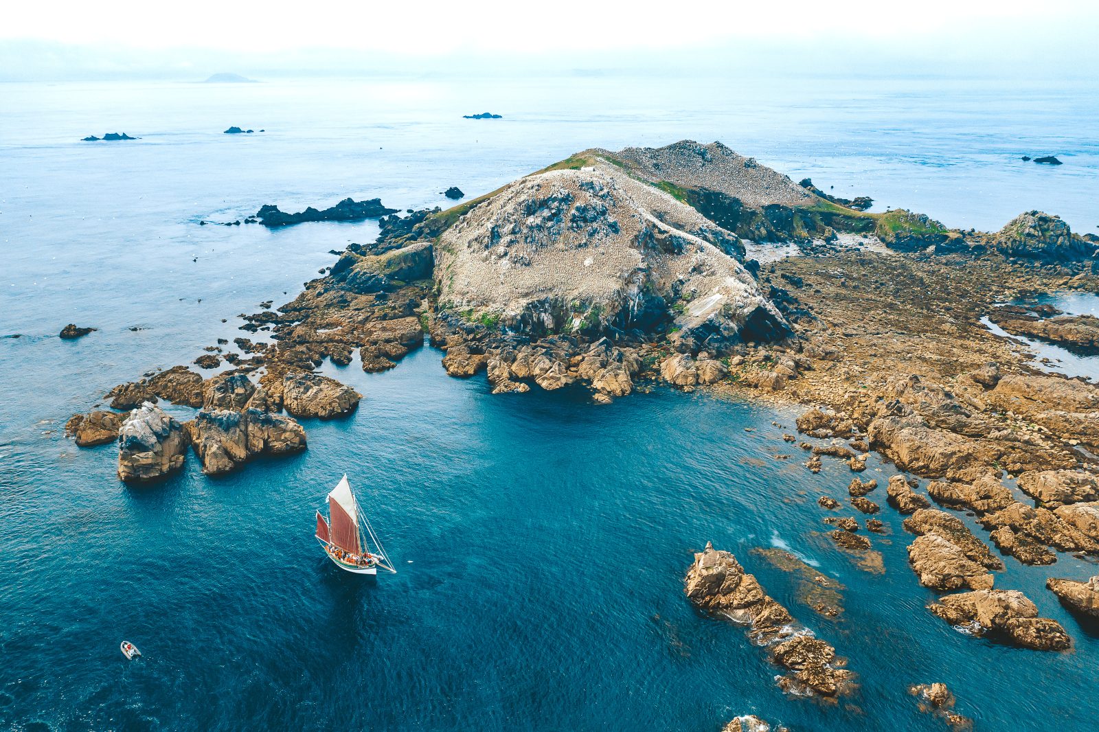 Archipel des Sept Îles, réserve ornithologique au large de Perros-Guirec