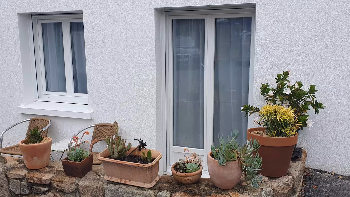 Façade et plantes